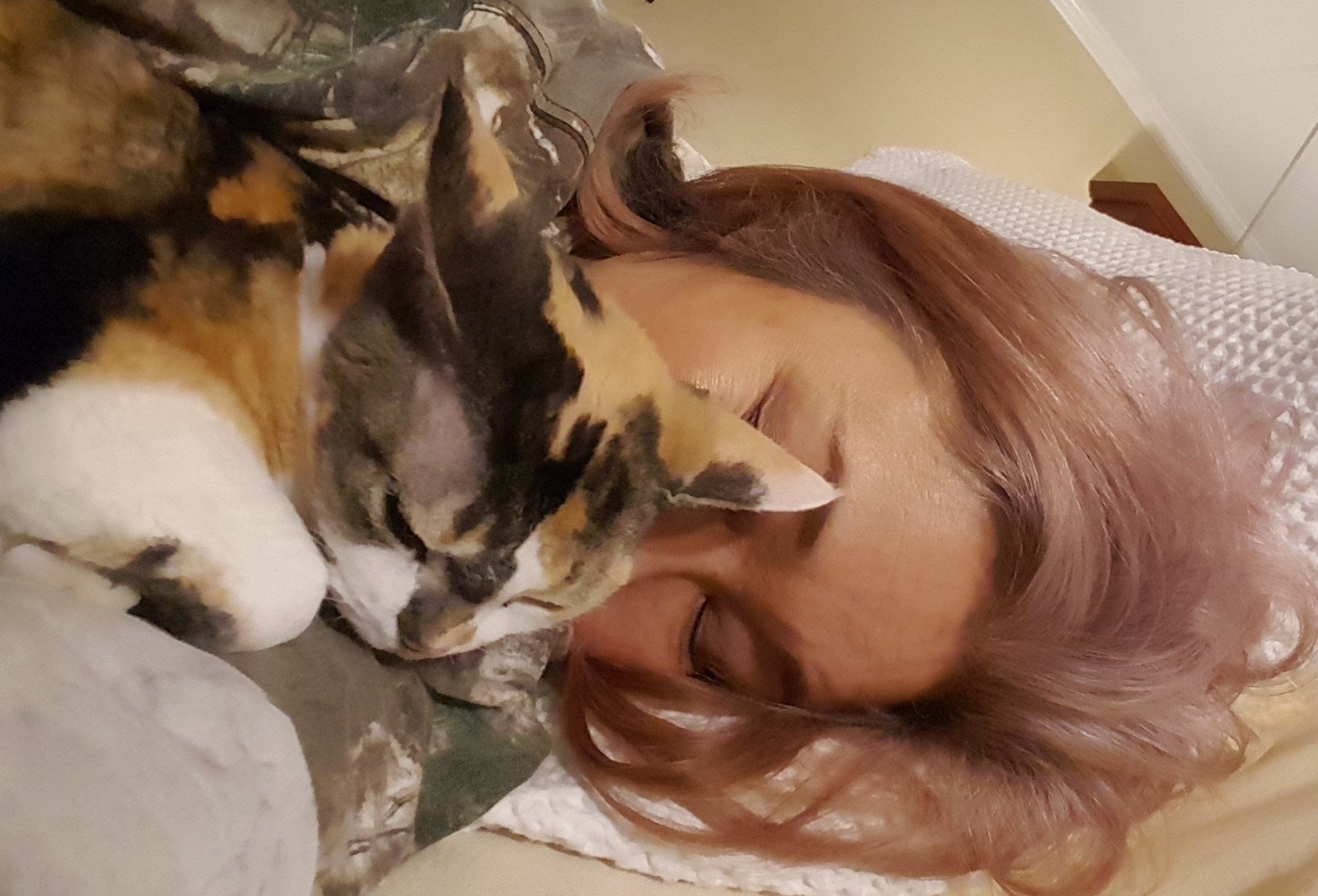 Read more about the article My Cat – My Healer: How Feline Companions Guided Me from Darkness to a Forever Love